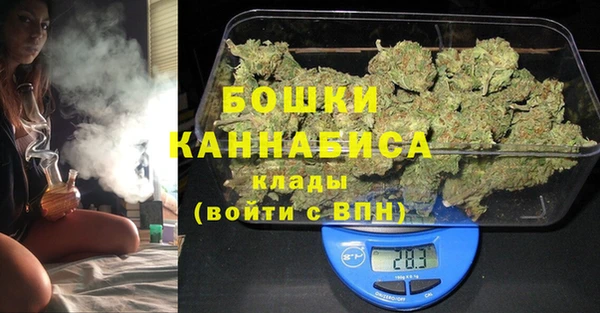 дживик Аша